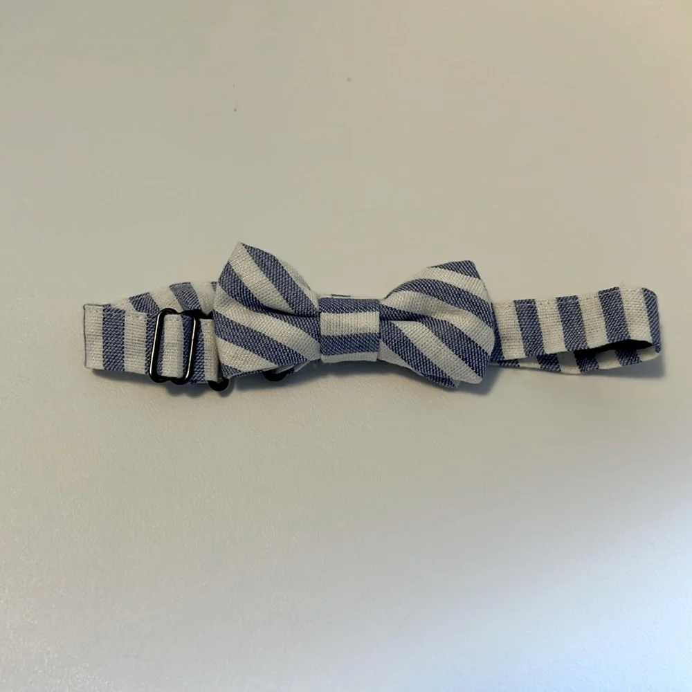 Crewcuts Striped Bow Tie
